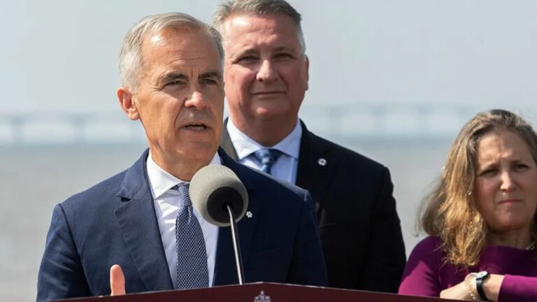 WhatsApp Image 2025-07-31 at 08.05.47