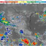 WhatsApp Image 2025-08-03 at 08.20.22