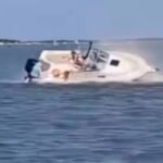 WhatsApp Image 2025-08-04 at 09.53.00