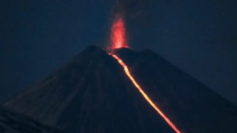 WhatsApp Image 2025-08-05 at 08.47.06