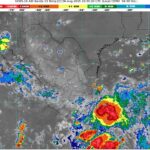 WhatsApp Image 2025-08-06 at 07.38.51