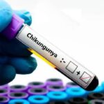 WhatsApp Image 2025-08-08 at 08.16.29