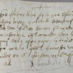 WhatsApp Image 2025-08-14 at 08.51.45