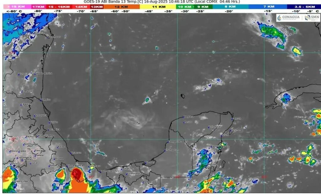 WhatsApp Image 2025-08-16 at 08.15.23