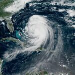 WhatsApp Image 2025-08-19 at 11.28.36