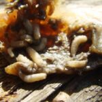 WhatsApp Image 2025-08-25 at 08.25.16