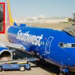 WhatsApp Image 2025-08-25 at 11.49.00