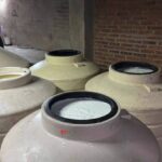 WhatsApp Image 2025-08-28 at 10.26.41