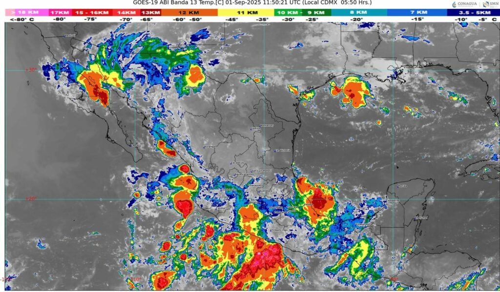 WhatsApp Image 2025-09-01 at 07.15.34