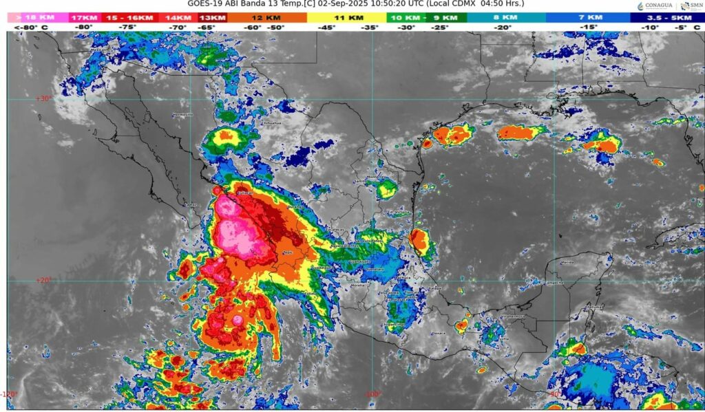 WhatsApp Image 2025-09-02 at 08.04.48