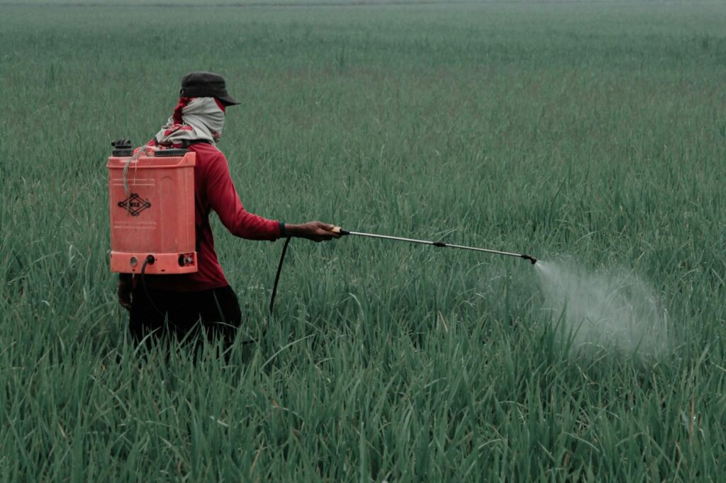 WhatsApp Image 2025-09-03 at 10.54.32