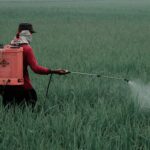 WhatsApp Image 2025-09-03 at 10.54.32