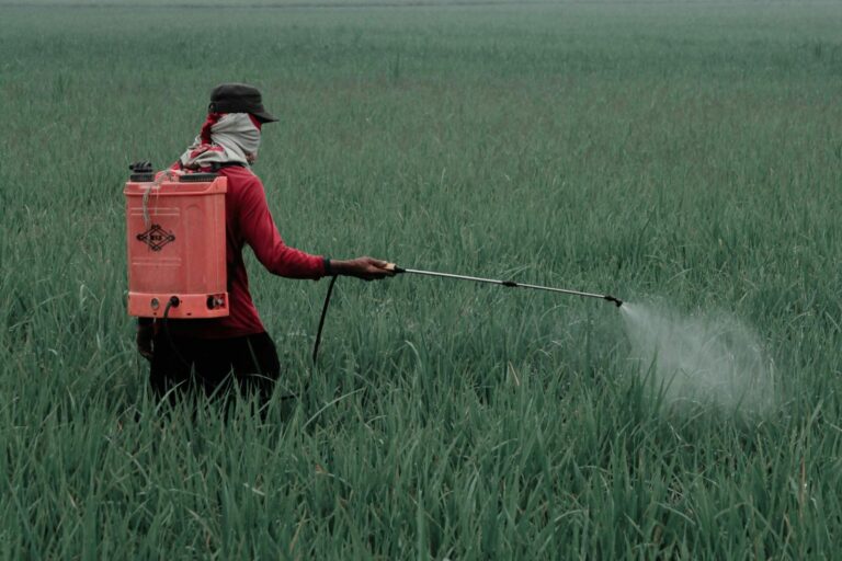 WhatsApp Image 2025-09-03 at 10.54.32