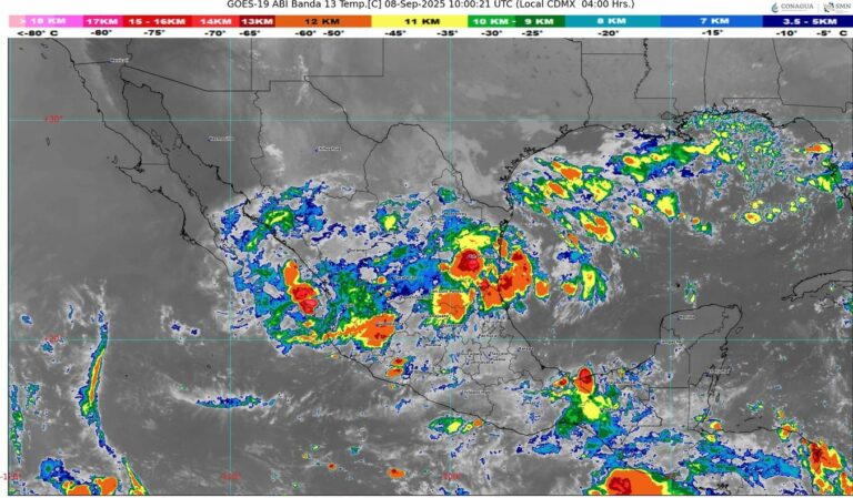 WhatsApp Image 2025-09-08 at 07.51.43