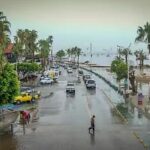 WhatsApp Image 2025-09-08 at 12.11.26