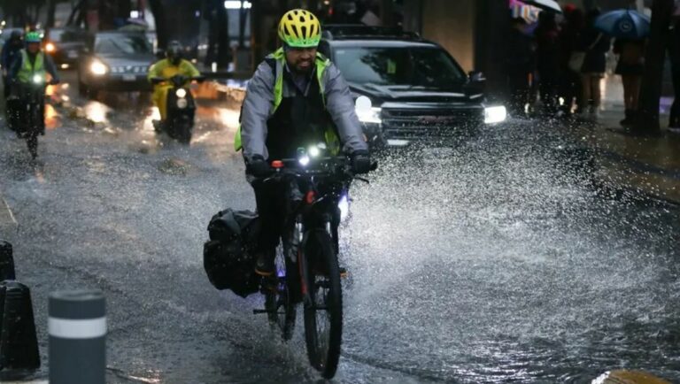 WhatsApp Image 2025-09-10 at 08.22.41