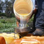 WhatsApp Image 2025-09-10 at 11.21.39