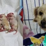 WhatsApp Image 2025-09-12 at 10.37.51