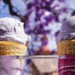 WhatsApp Image 2025-09-13 at 12.47.11