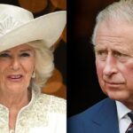 WhatsApp Image 2025-09-15 at 09.38.33