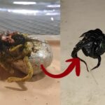 WhatsApp Image 2025-09-19 at 13.08.37