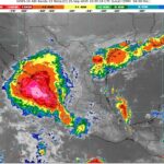 WhatsApp Image 2025-09-25 at 08.26.28