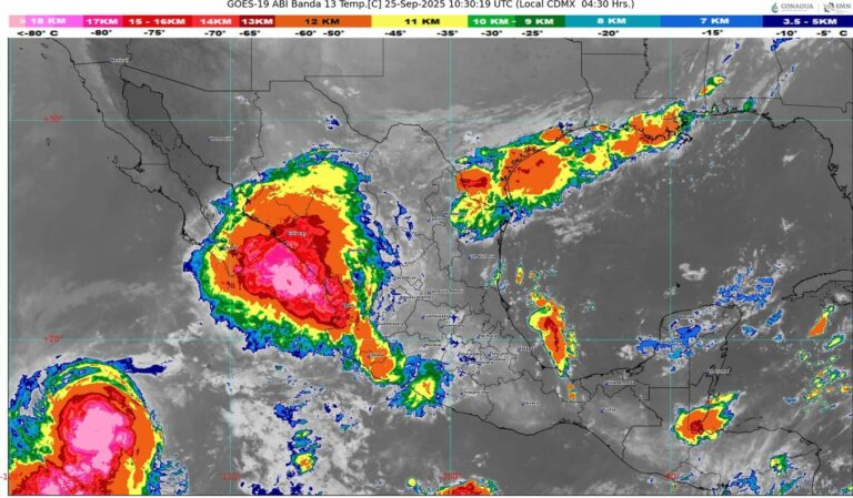 WhatsApp Image 2025-09-25 at 08.26.28