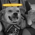 WhatsApp Image 2025-10-01 at 11.22.44