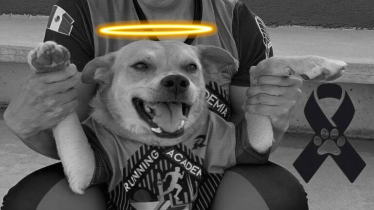 WhatsApp Image 2025-10-01 at 11.22.44