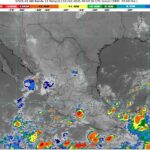 WhatsApp Image 2025-10-02 at 07.32.58