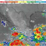 WhatsApp Image 2025-10-03 at 07.22.02