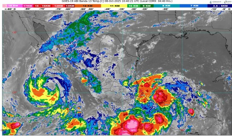 WhatsApp Image 2025-10-08 at 07.34.11