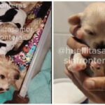 WhatsApp Image 2025-10-10 at 12.18.35