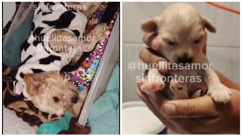 WhatsApp Image 2025-10-10 at 12.18.35