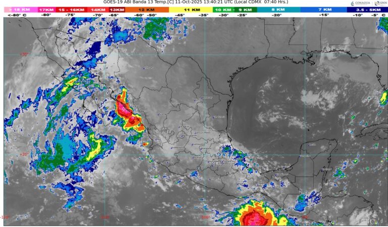 WhatsApp Image 2025-10-11 at 09.21.11