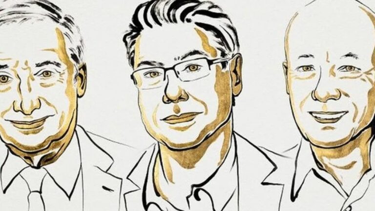 WhatsApp Image 2025-10-13 at 08.11.41