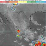 WhatsApp Image 2025-10-14 at 08.01.00