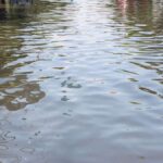 WhatsApp Image 2025-10-14 at 08.54.04