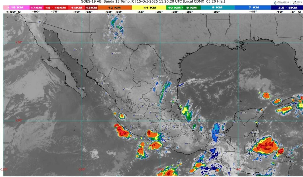 WhatsApp Image 2025-10-15 at 07.23.56