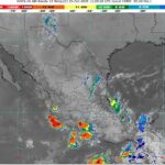 WhatsApp Image 2025-10-15 at 07.23.56