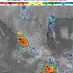 WhatsApp Image 2025-10-16 at 08.04.57