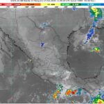 WhatsApp Image 2025-10-17 at 07.25.35