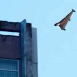 WhatsApp Image 2025-10-17 at 09.07.35