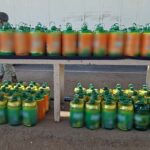 WhatsApp Image 2025-10-17 at 09.08.15