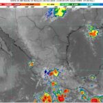 WhatsApp Image 2025-10-18 at 09.01.56