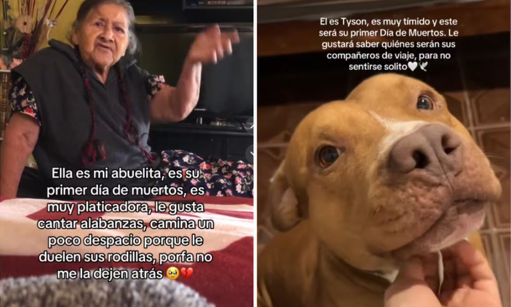 WhatsApp Image 2025-10-18 at 20.45.00