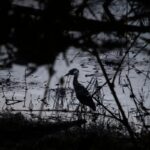 WhatsApp Image 2025-10-19 at 15.59.51