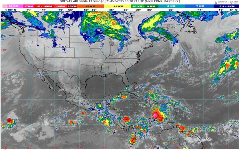 WhatsApp Image 2025-10-21 at 07.33.07