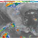 WhatsApp Image 2025-10-23 at 08.19.08