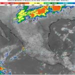 WhatsApp Image 2025-10-24 at 07.29.59